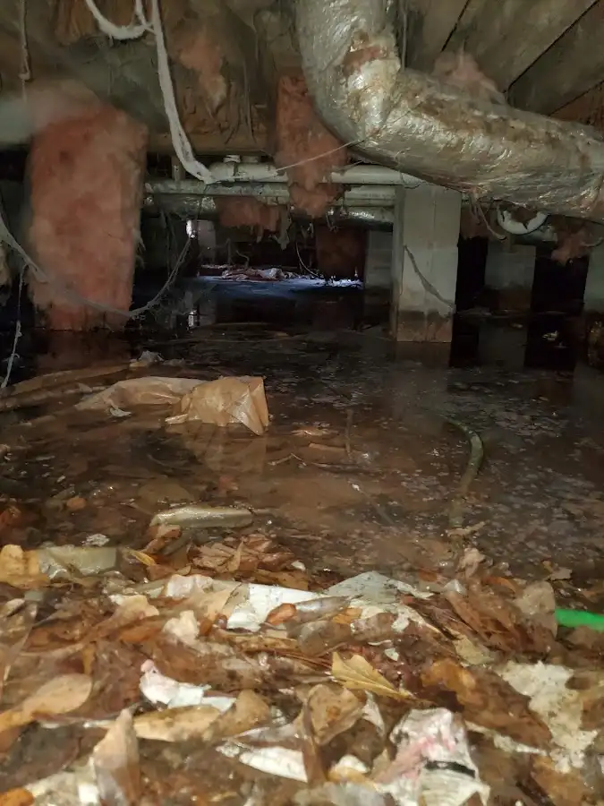 Crawl space flood assessment for Leak Detection & Repair in Idaho Falls